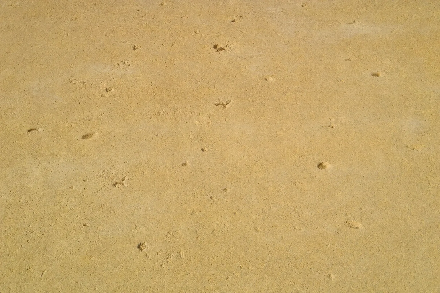 Manta Mediterrània - manta de formigó imprès 90x90 cm - Formigó Imprès Girona