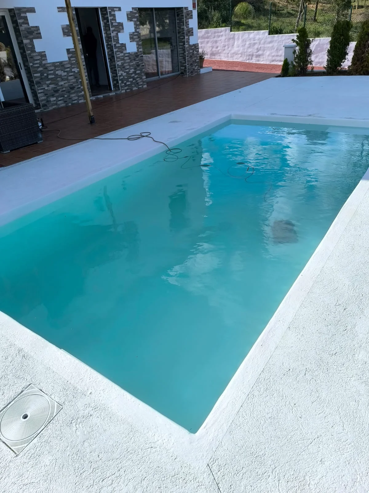 Textures Orgàniques